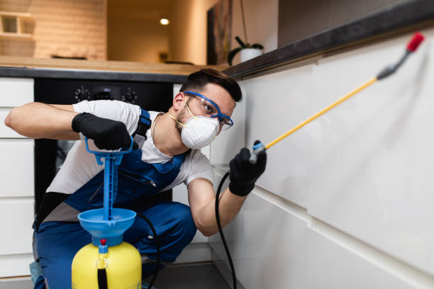Best Affordable Pest Control Services  in Glendora, CA