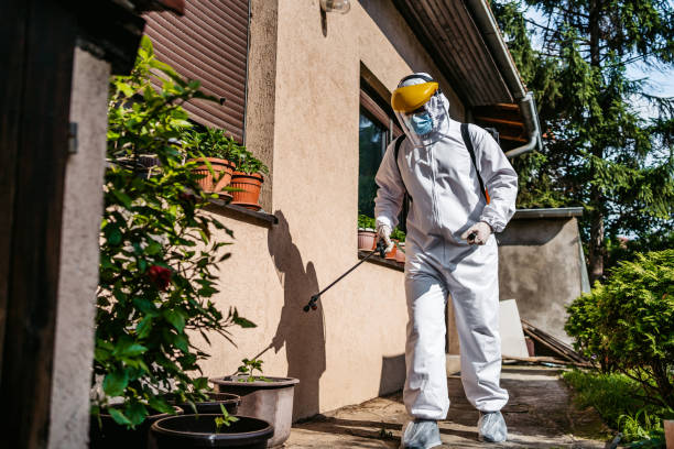Professional Pest Control in Glendora, CA