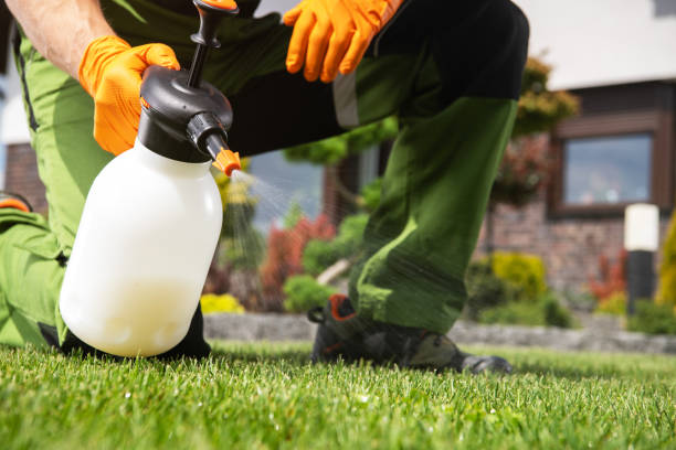 Best Insect Control  in Glendora, CA
