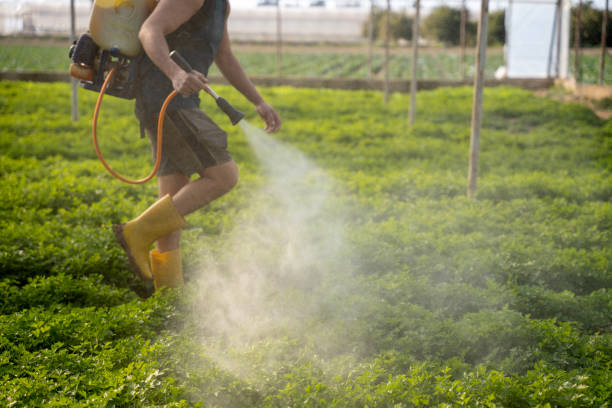 Best Affordable Pest Control Services  in Glendora, CA